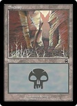 Swamp (#342)