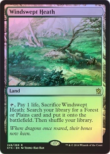 Windswept Heath