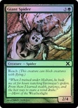 Giant Spider
