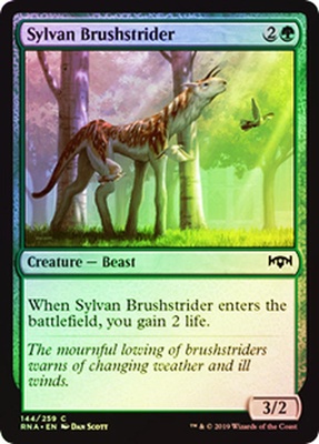 Sylvan Brushstrider