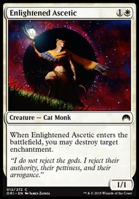 Enlightened Ascetic
