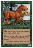 Tarpan