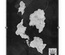 Blades in the Dark: Mappa di Doskvol