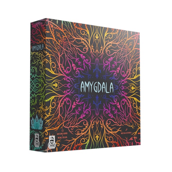 Amygdala immagine 1