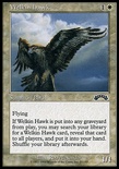 Welkin Hawk