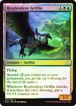 Resplendent Griffin