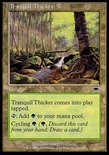 Tranquil Thicket