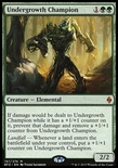 Undergrowth Champion
